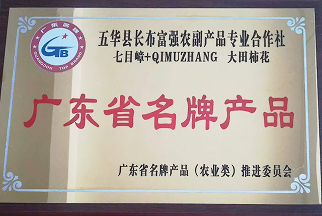 廣東省名牌產品(大田柿花)