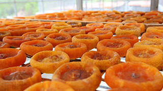 辦活一個協會救活一個品牌 廣東五華縣大田柿花協會引領農戶致富