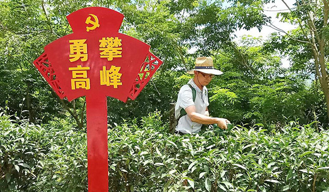 張軍權:“創二代”新農人的大山情懷 --記五華縣政協委員、強興七目嶂綠色食品有限公司總經理張軍權